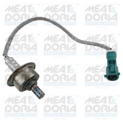 Oxygen Sensor